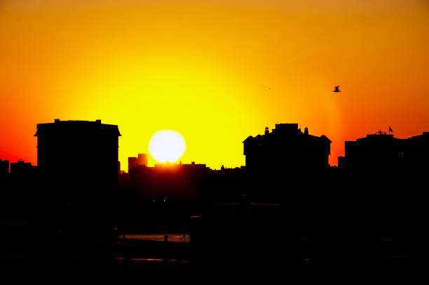 istock Sunset silhouette in istanbul 1176894747