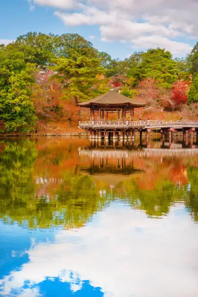 Scenic view of public park in autumn, with maple leaves, pond and old oriental pavilion reflected in the water