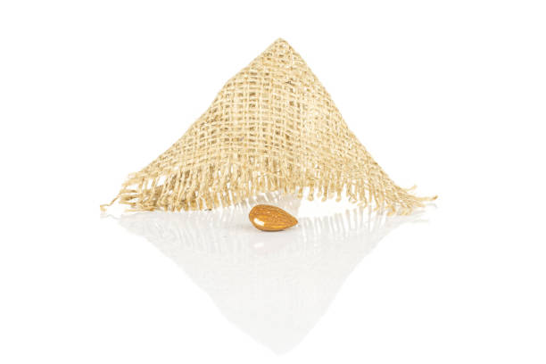 istock Brown almond nut isolated on white 1176896296