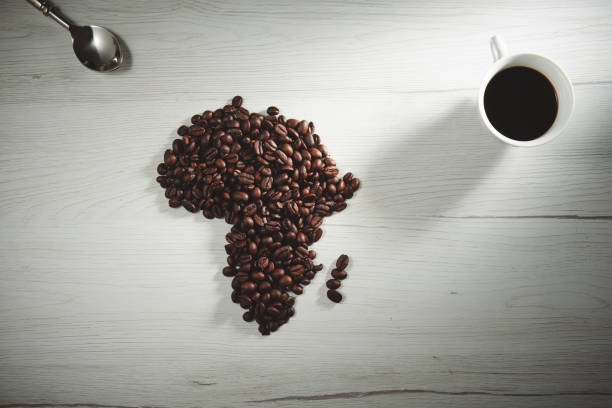 istock Coffee and bean beans Arabica 100% coffee roasted background concept 1176896644