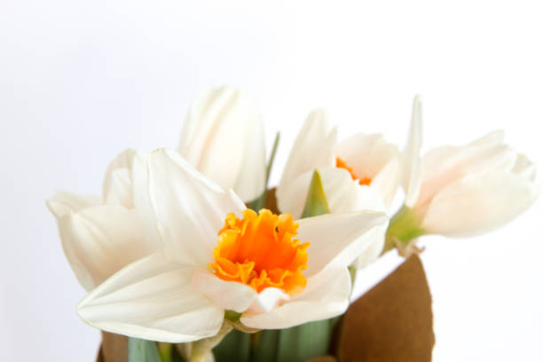 istock Daffodil flowers bouquet 1176897969