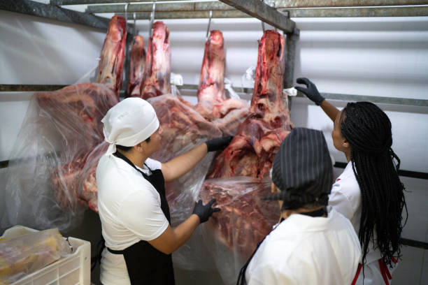 istock Butchers analyzing meat in a meat locker 1176910396
