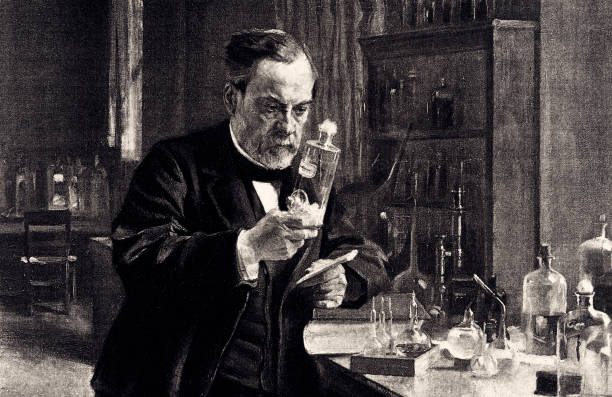 LOUIS PASTEUR (XXXL) Portrait of Louis Pasteur (1822-1895)in his laboratory.Vintage etching circa late 19th century pasteur institute stock illustrations