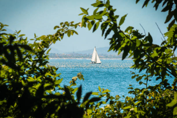 istock Sailboat among the leaves 1176914781