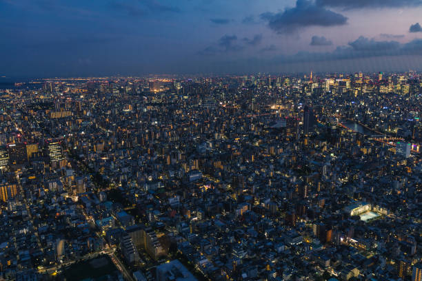 istock Tokyo at night from above 1176917808