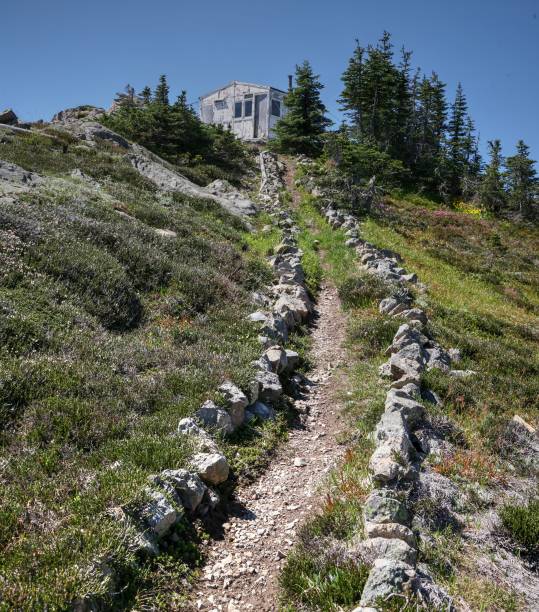 istock Abandoned Forest Fire Lookout - Thynne Mtn. 1176922719
