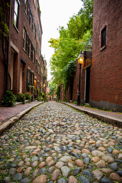 istock Acorn street 1176923798