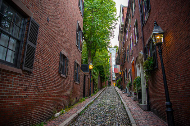 istock Acorn street 1176923814