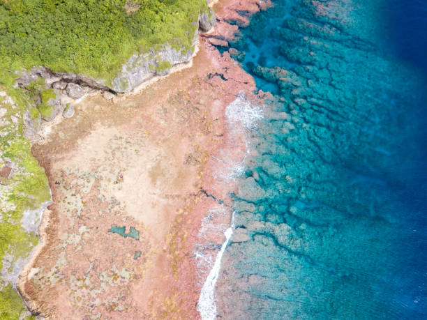 istock Tropical coral Island 1176927642