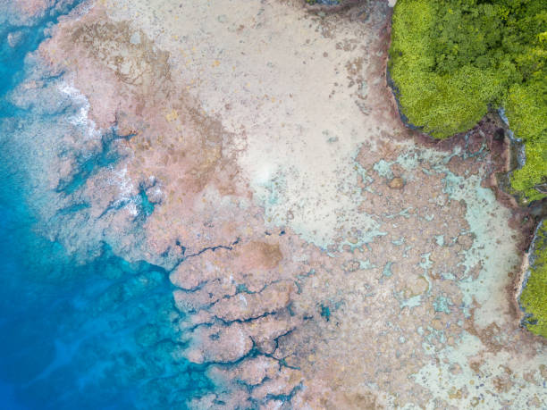 istock Tropical coral Island 1176927662