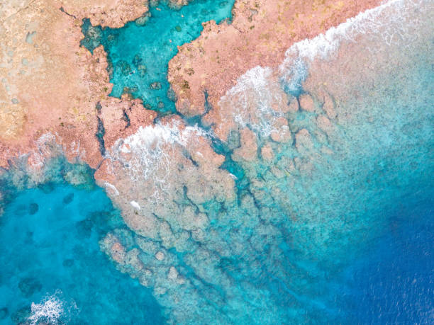 istock Tropical coral Island 1176927701
