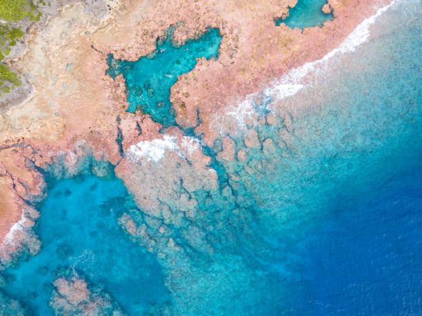 istock Tropical coral Island 1176927702