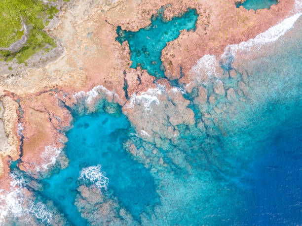 istock Tropical coral Island 1176927707