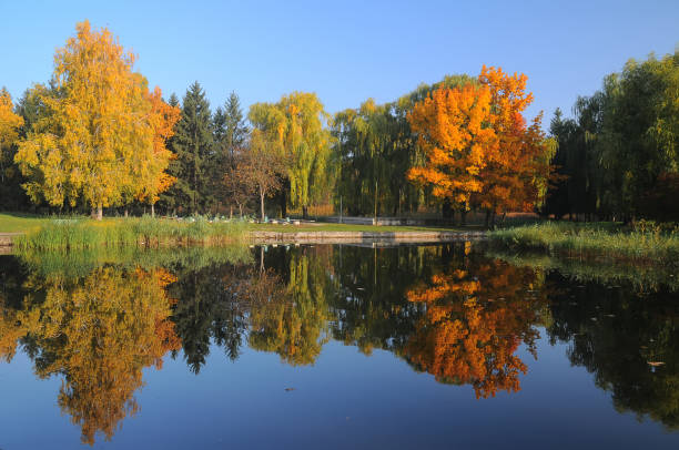 Beautiful autumn park with colorful trees reflected in the water