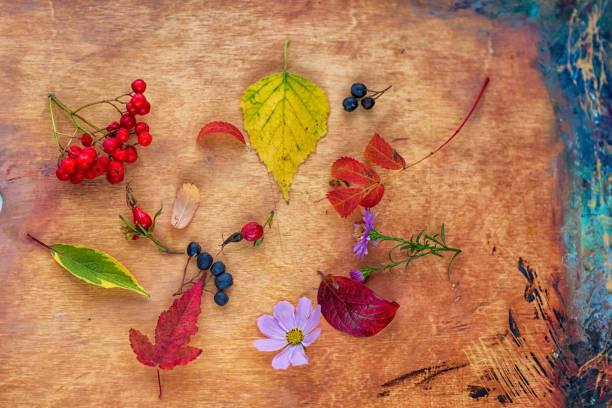istock composition of autumn leaves and Rowan berries 1176931042