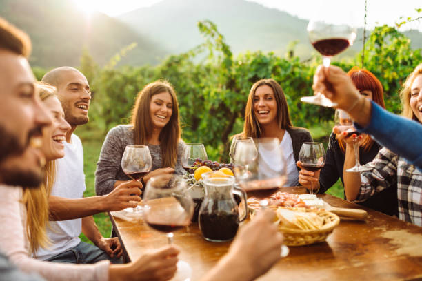 amigos fazendo uma degustação de vinhos todos juntos - vineyard napa valley agriculture sunset - fotografias e filmes do acervo