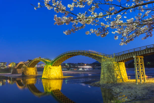 istock Sakura blooming at Iwakuni, Japan 1176937231