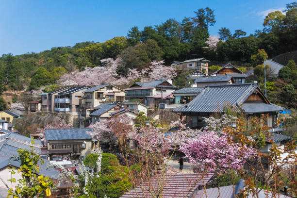 istock Sakura blooming at Miyajima Island, Japan 1176938122