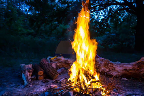closeup camp fire in a touristic stand at the dusk