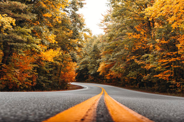 istock autumnal road in new england 1176942588