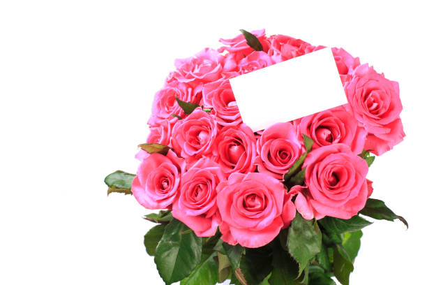 istock Beautiful rose flowers bunch isolated on white background 1176942635