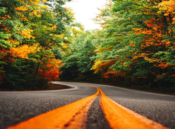 istock autumnal road in new england 1176942801