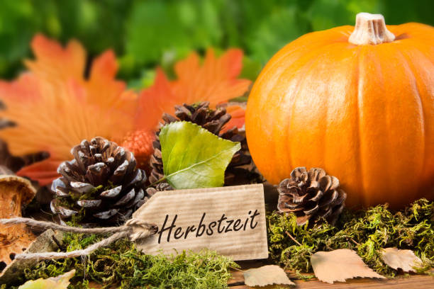 istock Autumn Hokkaido Pumpkin with decoration 1176945655