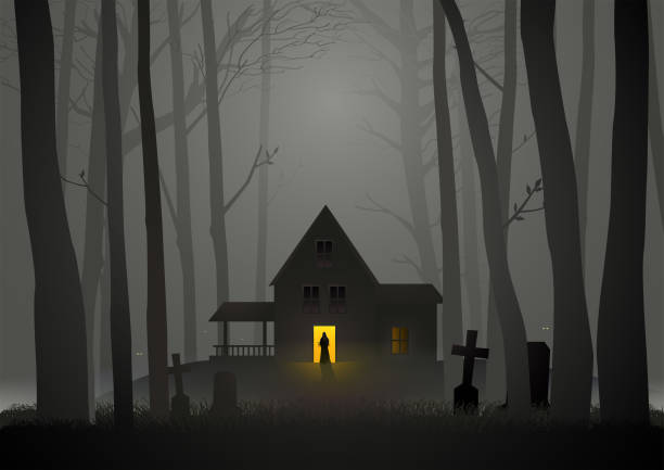 숲속의 으스스한 집 - haunted house stock illustrations