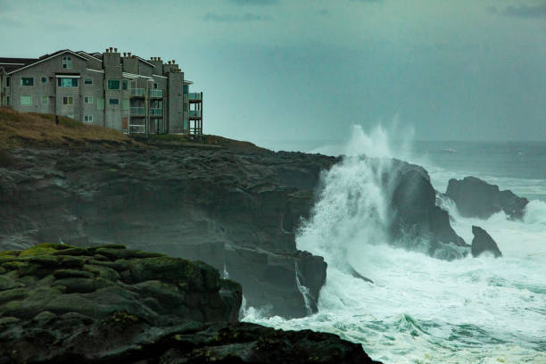 The Central California coast features a variety of terrain from sandy beaches, rocky coastline, forests and rolling hills.The main road is Highway 1, the Pacific Coast Highway.