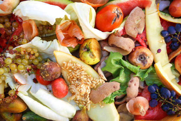 istock Different trash. Garbage sorting. Domestic waste for compost from fruits and vegetables. 1176948944