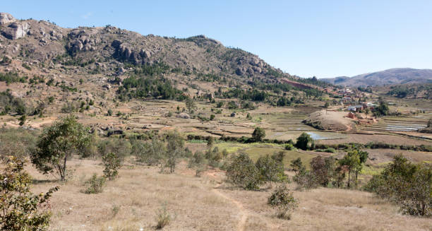 istock Malagasy landscape between Andasibe and Antsirabe 1176950579