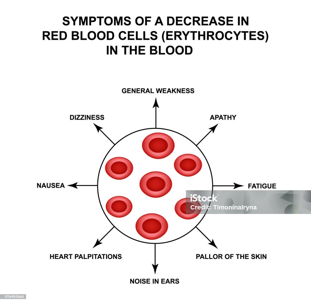 Symptoms Of A Decrease In Red Blood Cells In The Blood Cells ...