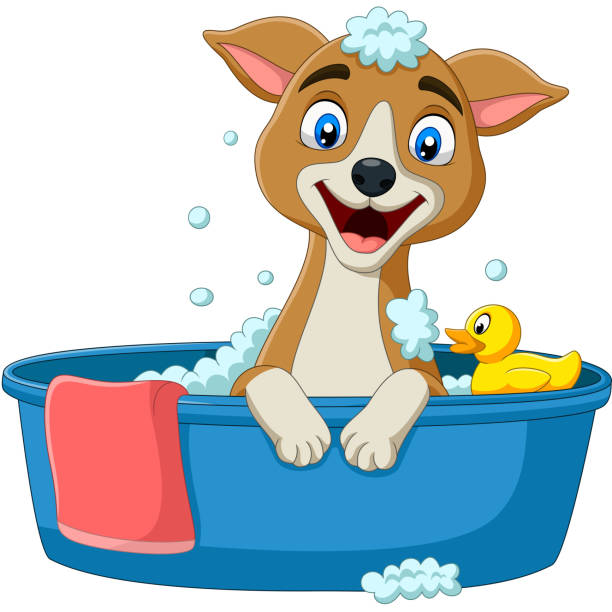 ilustrações de stock, clip art, desenhos animados e ícones de cartoon dog having a bath - dog bathtub washing puppy