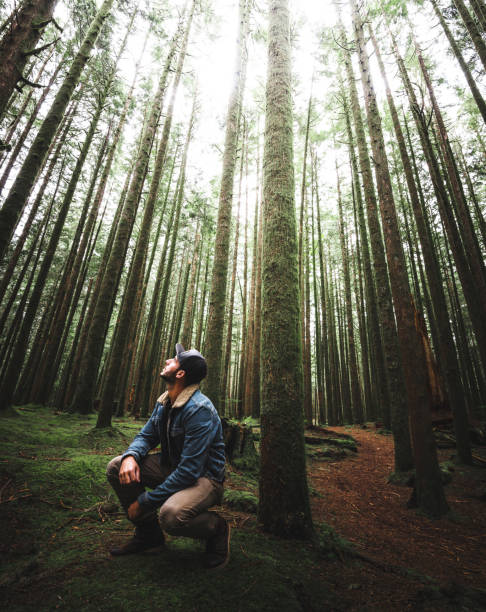 istock man hiking in british columbia 1176953840
