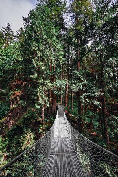 istock Suspended bridge in north america 1176953963