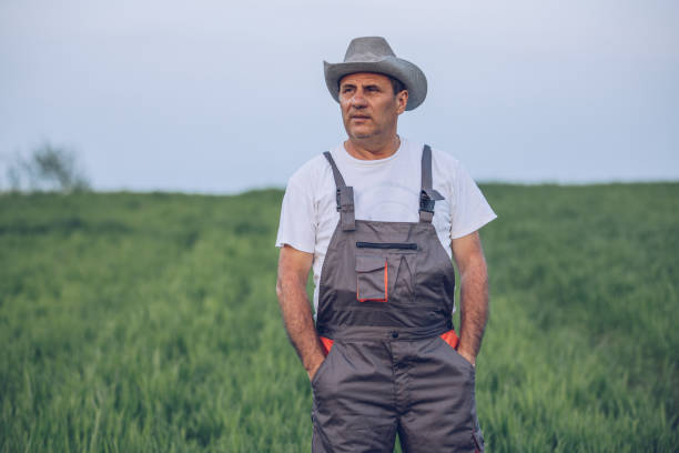 istock Satisfied older farmer in wheat field 1176956116