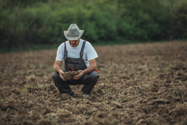 istock Farmer looking at soil on his land 1176956224