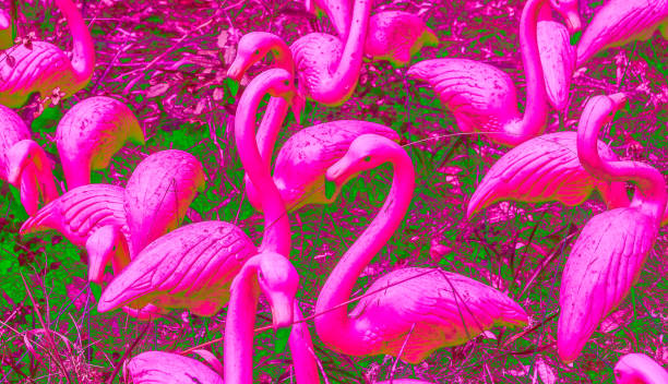 flamants en plastique dans l'abstrait de couleurs lumineuses - plastic flamingo photos et images de collection