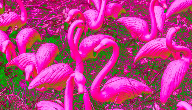 fenicotteri di plastica in colori vivaci astratti - plastic flamingo foto e immagini stock