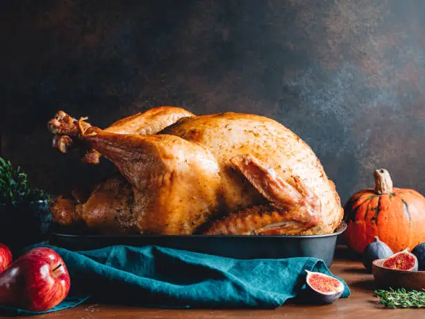 Roasted whole turkey on a table with apple, pumpkin and figs for family Thanksgiving Holiday.