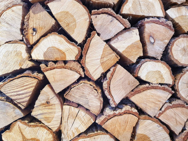 istock A pile of cut tree trunk 1176962589