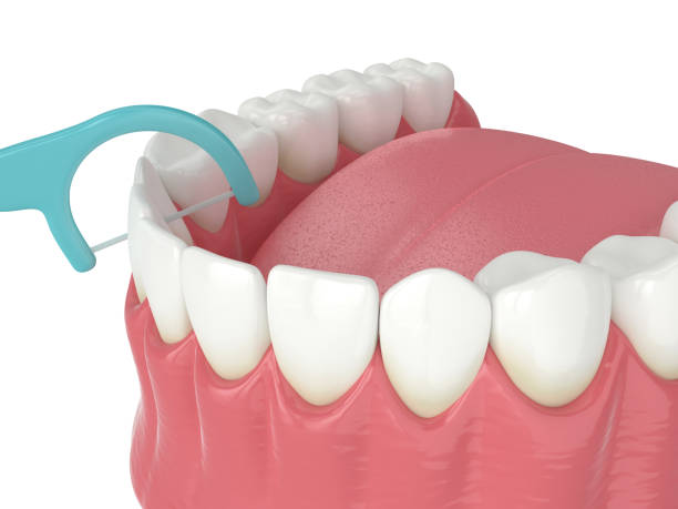 istock 3d render of jaw with dental floss toothpick 1176974012