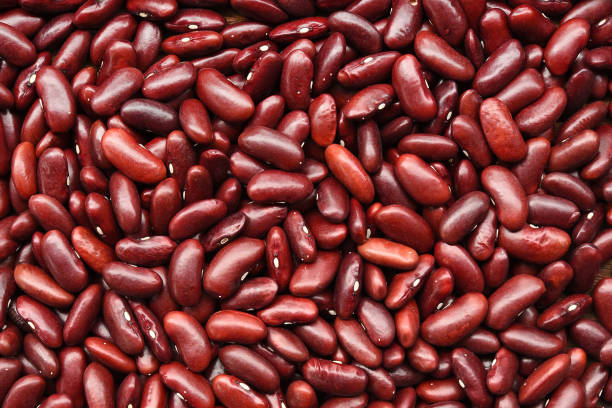 istock close up of red kidney beans 1176977476