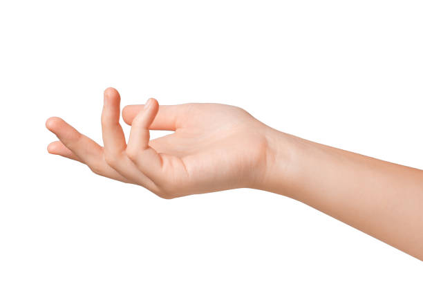 istock beautiful woman's hand isolated on white background 1176980811