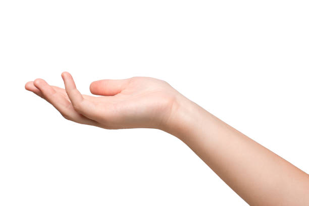 istock beautiful woman's hand isolated on white background 1176980840
