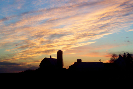 A photograph of a yellow, orange, and blue toned sunset over the silhouetted image of a farm house. The Cirrus and Altocumulus clouds filling the sky are illuminated by the bright sunset in the sky, leaving them a golden yellow color.