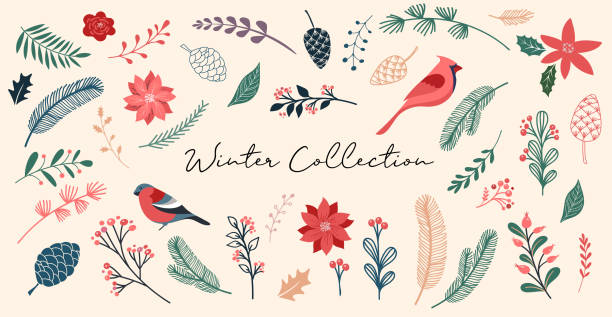Botanical Christmas, Xmas elements, winter flowers, leaves, birds and pinecones isolated on white backgrounds. Hand drawn vector illustration Botanical Christmas, Xmas elements, winter flowers, leaves, birds and pinecones isolated on white backgrounds. Hand drawn vector illustration winter illustrations stock illustrations
