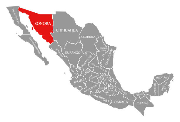 сонора красный выделен на карте мексики - sonora state stock illustrations