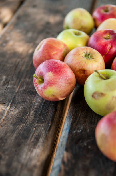istock Apples on the Old Wooden Table at Autumn Time 1176987460