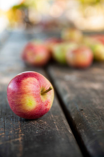 Apples on the Old Wooden Table at Autumn Time
